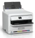 Принтер Epson WorkForce Pro WF-C5390DW C11CK25402