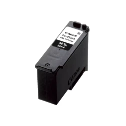 Картридж Canon PG-495XL для PIXMA TS6540i/TS4140i 7168C001