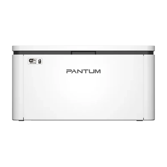 Принтер Pantum BP2300W