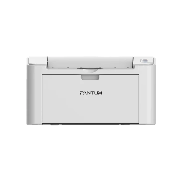 Принтер Pantum P2200