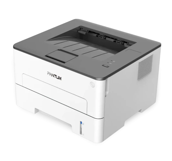 Принтер Pantum P3010D