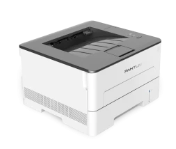 Принтер Pantum P3010D