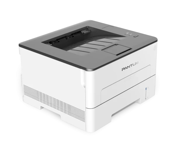 Принтер Pantum P3010D