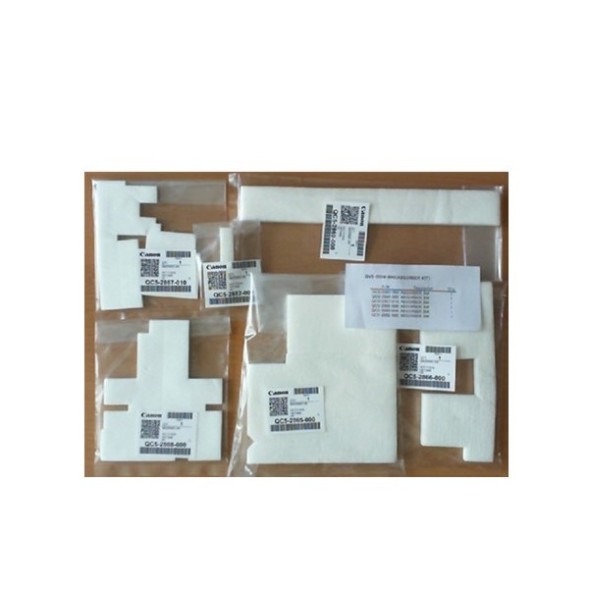 Абсорбер для Canon PIXMA G1000/G2000 QY5-0558-000000